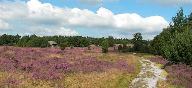 Naturpark Lüneburger Heide