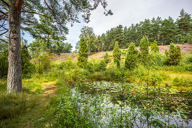 Landschaftspark Spöktal