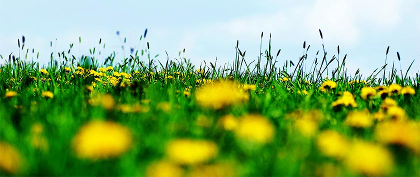 Green Investment Biohotel Spöktal