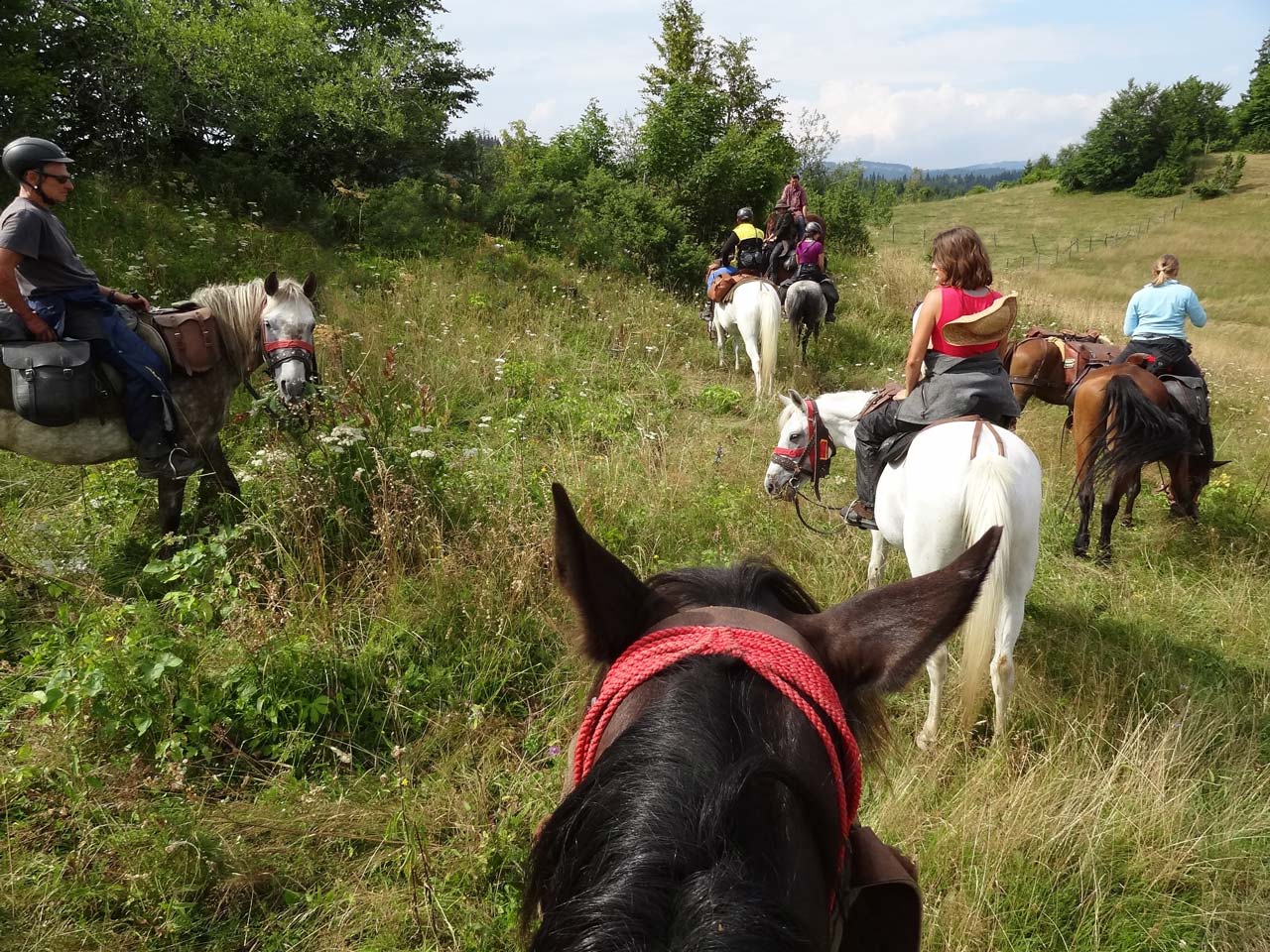 Reiten Biohotel Spöktal Lüneburger Heide