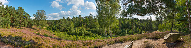 Landschaftspark Spöktal Panorama